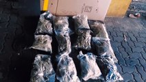 Incautan 32 paquetes de marihuana en el Puerto de Haina Oriental