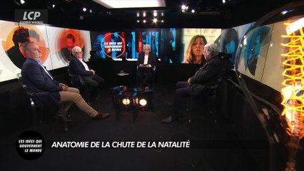 Ces idées qui gouvernent le monde - Anatomie de la chute de la natalité