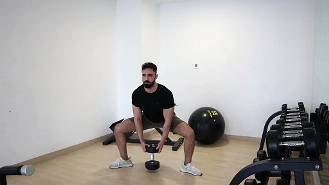 Sumo sqaut