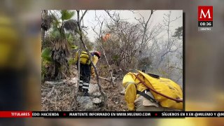 35 incendios forestales arrasan con ecosistemas y comunidades en Guerrero