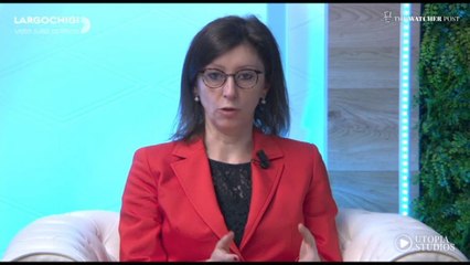 Roggiani (Pd): Governo proroghi termini di Piano Transizione 5.0