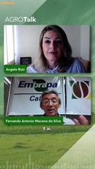 A agricultura brasileira está em risco!!