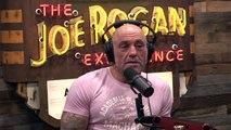 JRE MMA Show #156 with Royce Gracie - The Joe Rogan Experience Video - Episode latest update