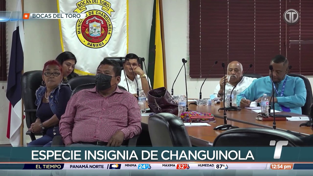PASE PEDRO.mp4