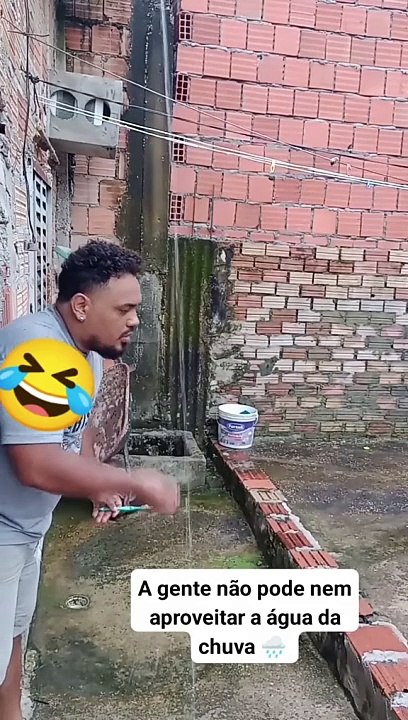 Pesab karta monkey funny video 