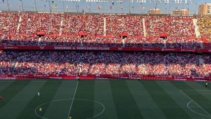 Sonora pitada en el descanso