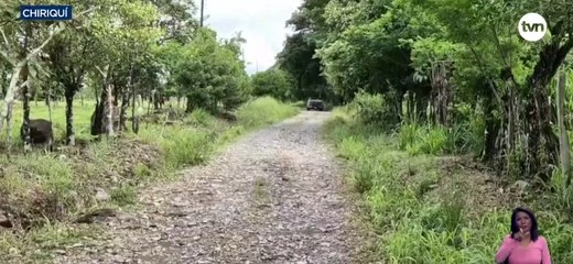 Productores de comunidad de difícil acceso en Bugaba exigen la construcción de un puente