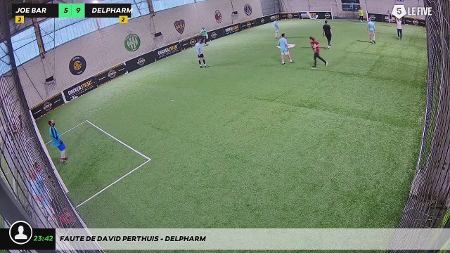 Faute de DAVID PERTHUIS - DELPHARM