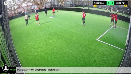 But de Arthur GOLDBERG - REED SMITH