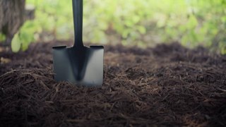 Mulching Tips for Your Gardening Hobby