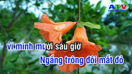 10.Karaoke  24 Giờ Phép - Tone Nam - Karaoke Nhạc Sống - ATV Karaoke