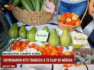 Gobierno Nacional impulsa la siembra local del edo. Mérida con la entrega de 72 kits trabuco Clap