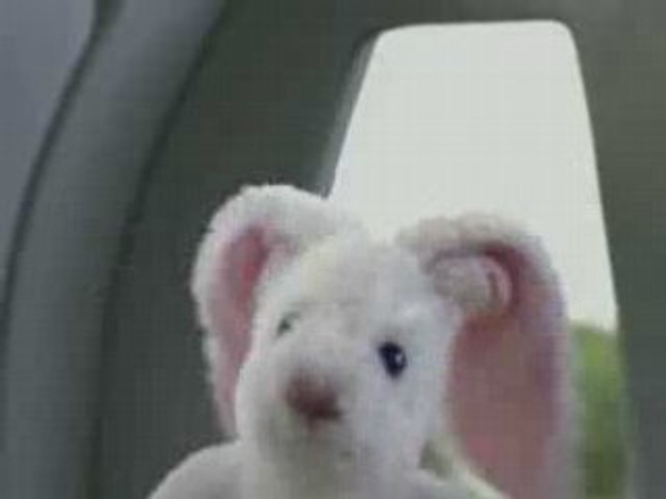 pub chaud lapin
