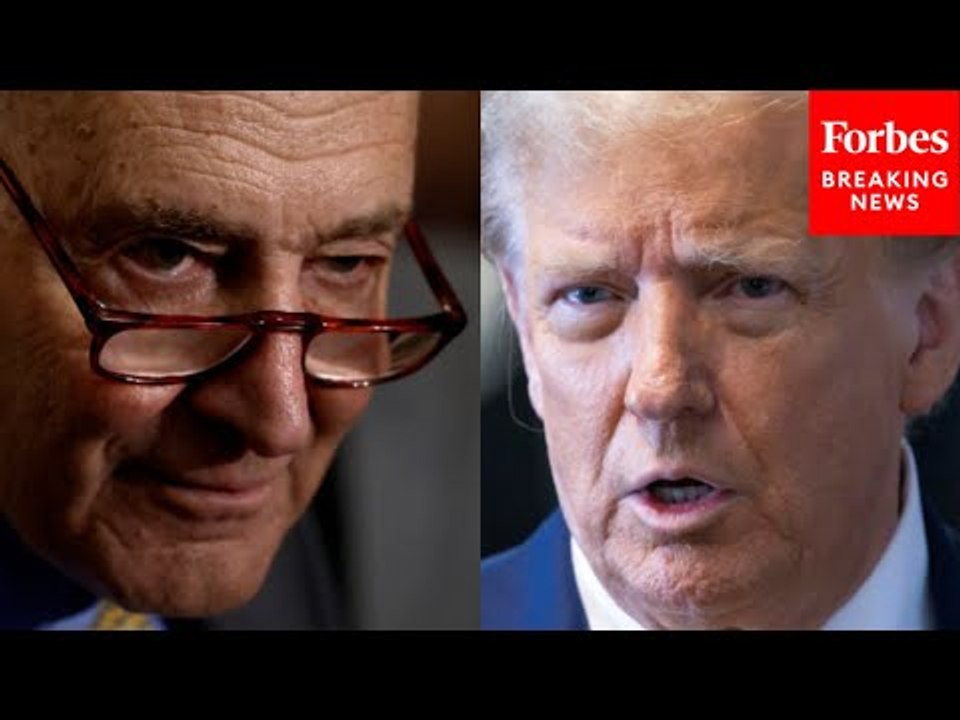 'Blame, Blame, Blame': Chuck Schumer Drops The Hammer On GOP For ...