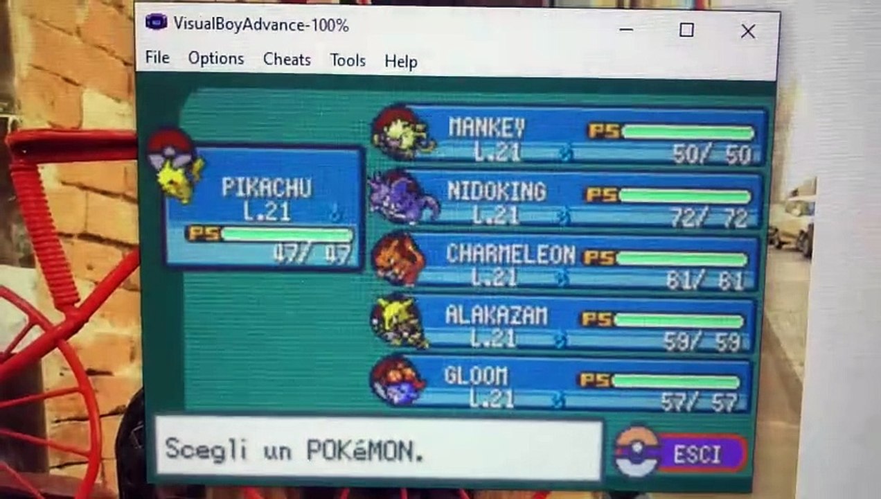Pokémon Rosso Fuoco - Sfida contro Capopalestra Misty - Video Dailymotion