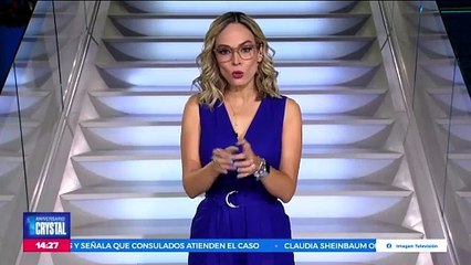 VIDEO: Perrito hace un nuevo amigo