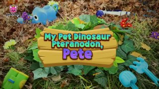 My Pet Dinosaur Pteranodon- Pete My Pet Dinosaur Cartoon - Song Pinkfong Baby Shark