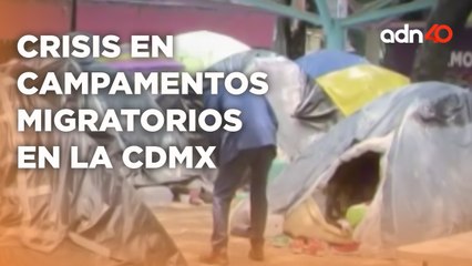 Tải video: Crisis de migrantes en la Ciudad de México los campamentos instalados son un problema de salud