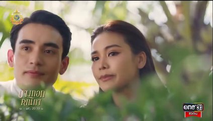 บางกอกคณิกา ตอนที่ 3 (EP.3) วันที่ 15 พฤษภาคม 2567  ย้อนหลัง