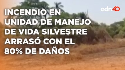 Incendio en el municipio de Centro consumió el 80 por ciento de una unidad de vida silvestre