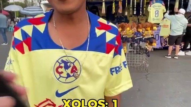 Los equipos de la Liga MX que les cae bien a los americanistas