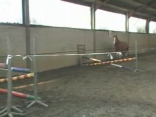 Seattle 3ème scéance de  sauts