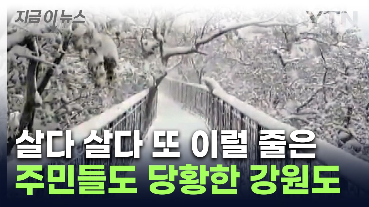 5월에 눈이 '펑펑'...강원도 믿을 수 없는 장면 [지금이뉴스] / YTN