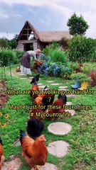 What are you working so hard to earn money for