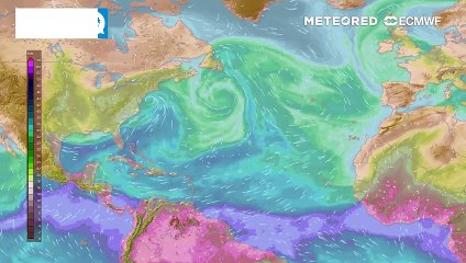 Anticyclone aux abonnés absents : de l'humidité à perte de vue !