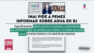 INAI pide a Pemex informar sobre agua en la Benito Juárez