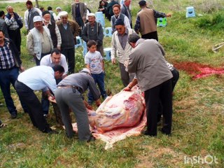 2009 Yağmur Duası