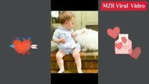 You can't ignore their cutenes_Are you looking for cuteness_OMG!I found most cutest babies_Baby Tube (720p)