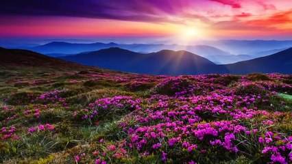 30 Minute Deep Sleep Music Calming Music, Relaxing Music, Soothing Music, Calming Music, ☯426B