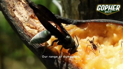 Florida Construction Dumpster Rental: Your Project Partner