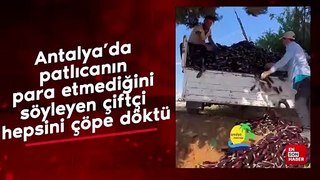 Antalya’da patlıcanın para etmediğini söyleyen çiftçi hepsini çöpe döktü