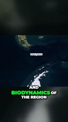 Unforgettable Journey_ Triumph, Dangers, and Urgent Call to Protect Antarctica