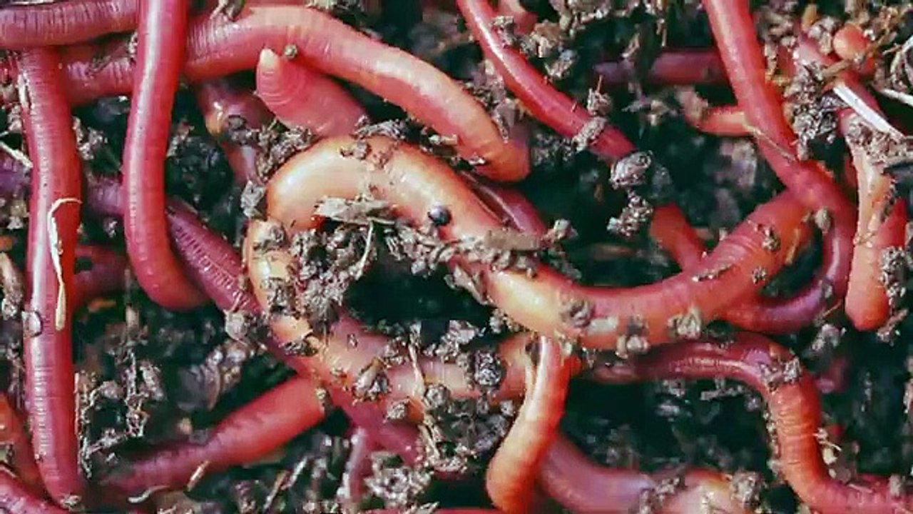 04.MACHINATION- BREATH IN FEAR  Exclusive Full Sci-Fi Horror Movie  English HD 2024