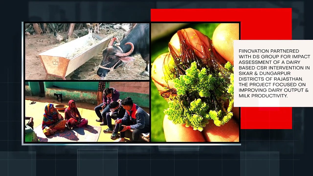 Delivering Excellence & Making Positive Impact _ The Fiinovation Story