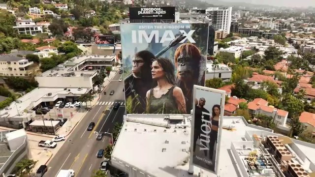 Kingdom Of The Planet Of The Apes | Featurette: Global Phenomenon