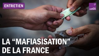 Narcotrafic et criminalité : comment la France peut-elle lutter ?