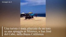 Messico, una turista attaccata da un toro su una spiaggia di San José del Cabo: il video dell'aggressione