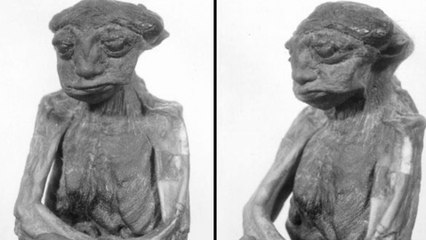 Oopart Oggetti fuori dal tempo-55