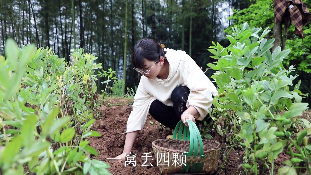 花开，花落，花生乡村里的这些味道你值