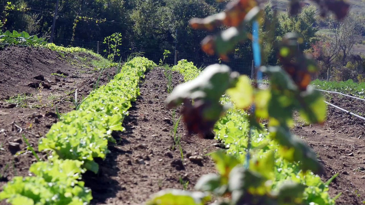 5765756-uhd_3840_2160_30fps