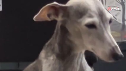 Quand t’as rien écouté à la réunion et que d’un coup, on demande ton avis 