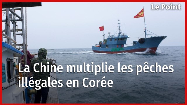 La Chine multiplie les pêches illégales en Corée