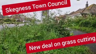 New deal on grass cuting in Skegness