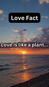 Love Fact | Unveiling the Mysteries of Love: Fascinating Facts You Didn't Know | Creative Comedy And Facts.