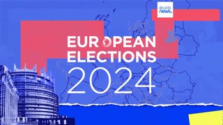 European elections: What do voters want? and what do candidates promise?