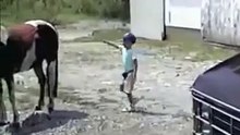 Kid vs Horse